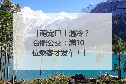 萌宠巴士遇冷？合肥公交：满10位乘客才发车！