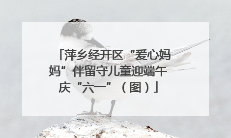 萍乡经开区“爱心妈妈”伴留守儿童迎端午庆“六一”（图）
