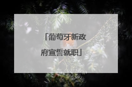 葡萄牙新政府宣誓就职
