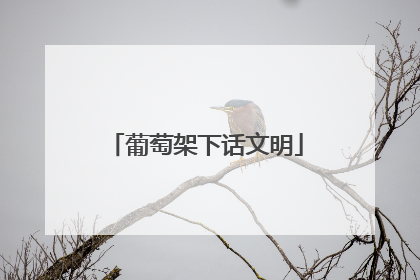 葡萄架下话文明