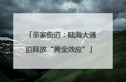 董家街道：陆海大通道释放“黄金效应”