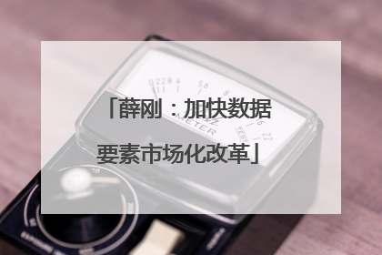 薛刚：加快数据要素市场化改革