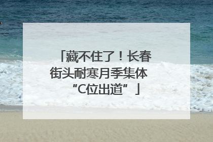 藏不住了！长春街头耐寒月季集体“C位出道”