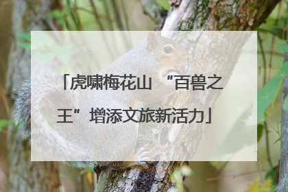 虎啸梅花山 “百兽之王”增添文旅新活力