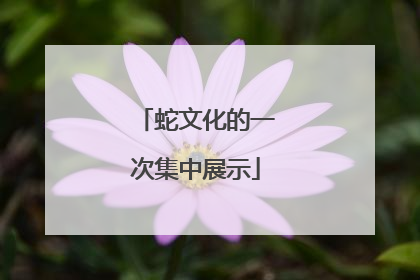 蛇文化的一次集中展示