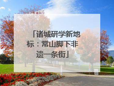 诸城研学新地标：常山脚下非遗一条街