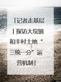 记者走基层丨探访大垸镇和丰村土地“三统一分”运营机制