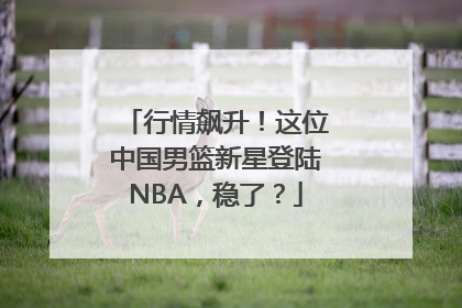 行情飙升！这位中国男篮新星登陆NBA，稳了？