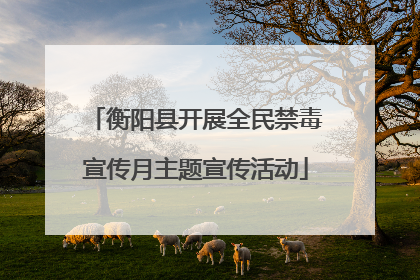 衡阳县开展全民禁毒宣传月主题宣传活动