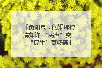 衡阳县：问渠那得清如许 “民声”变“民生”更畅通