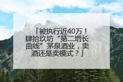 被执行近40万！肆拾玖坊“第二增长曲线”茅泉酒业，卖酒还是卖模式？