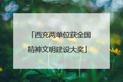 西充两单位获全国精神文明建设大奖