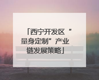 西宁开发区“量身定制”产业链发展策略