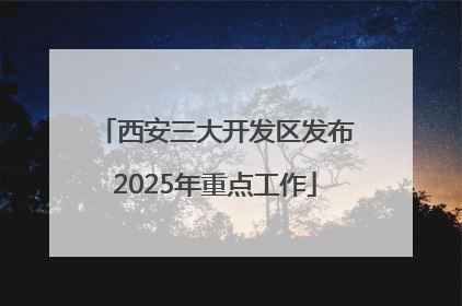 西安三大开发区发布2025年重点工作