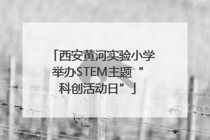 西安黄河实验小学举办STEM主题“科创活动日”