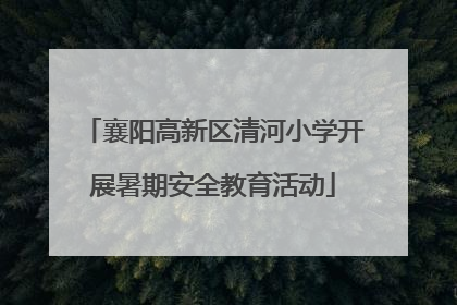 襄阳高新区清河小学开展暑期安全教育活动