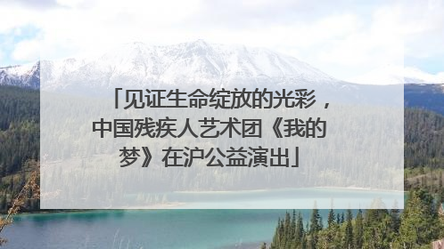 见证生命绽放的光彩，中国残疾人艺术团《我的梦》在沪公益演出