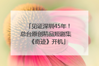 见证深圳45年！总台原创精品短剧集《奇迹》开机