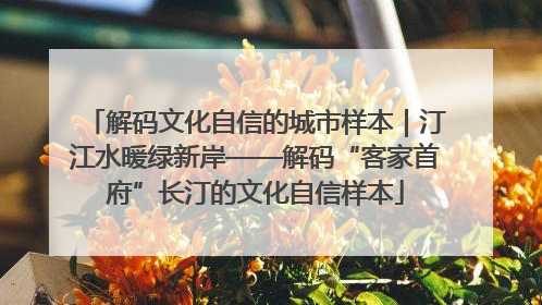 解码文化自信的城市样本｜汀江水暖绿新岸——解码“客家首府”长汀的文化自信样本