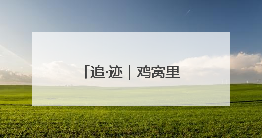 追·迹｜鸡窝里发现明代抱鼓石