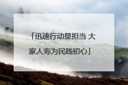 迅速行动显担当 大家人寿为民践初心