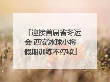 迎接首届省冬运会 西安冰球小将假期训练不停歇