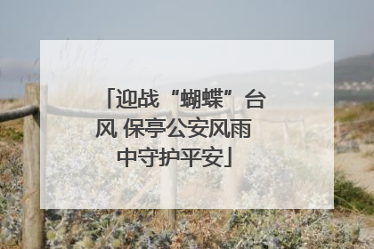 迎战“蝴蝶”台风 保亭公安风雨中守护平安