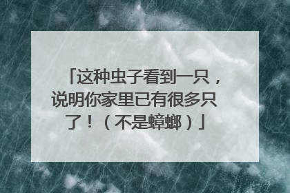 这种虫子看到一只，说明你家里已有很多只了！（不是蟑螂）