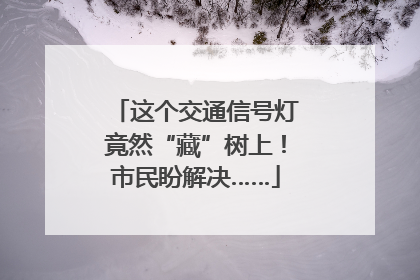 这个交通信号灯竟然“藏”树上！市民盼解决……