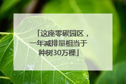 这座零碳园区，一年减排量相当于种树30万棵