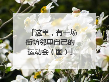 这里，有一场街坊邻里自己的运动会（图）