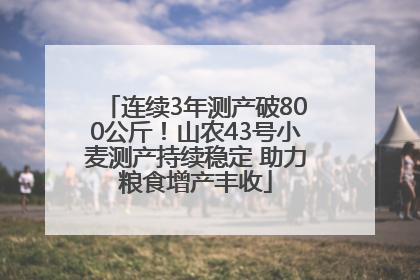 连续3年测产破800公斤！山农43号小麦测产持续稳定 助力粮食增产丰收
