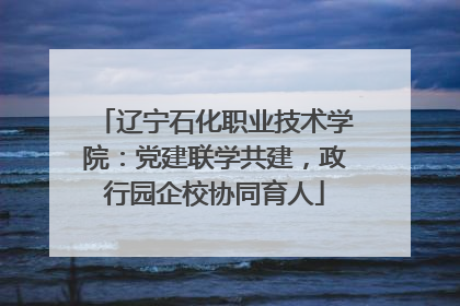 辽宁石化职业技术学院：党建联学共建，政行园企校协同育人