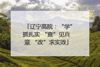 辽宁高院：“学”抓扎实 “查”见真章 “改”求实效