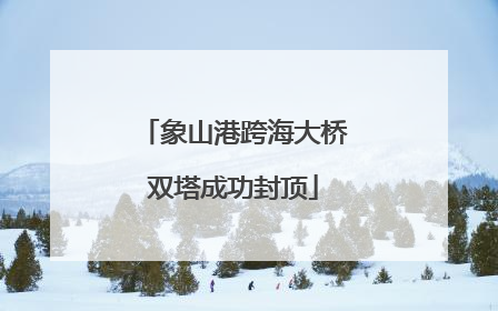 象山港跨海大桥双塔成功封顶