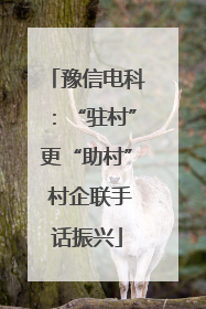 豫信电科：“驻村”更“助村” 村企联手话振兴