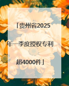 贵州省2025年一季度授权专利超4000件