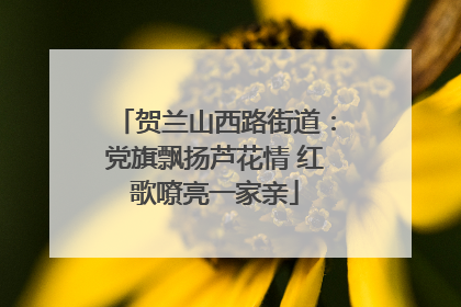 贺兰山西路街道：党旗飘扬芦花情 红歌嘹亮一家亲