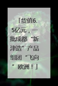 货值6.5亿元，一批成都“新津造”产品组团“飞向”欧洲！