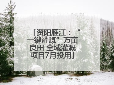 资阳雁江：“一键灌溉”万亩良田 全域灌溉项目7月投用