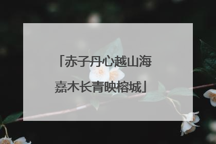 赤子丹心越山海 嘉木长青映榕城