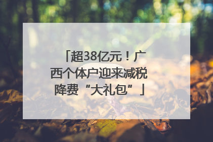 超38亿元！广西个体户迎来减税降费“大礼包”