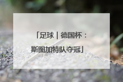 足球｜德国杯：斯图加特队夺冠