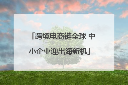 跨境电商链全球 中小企业迎出海新机