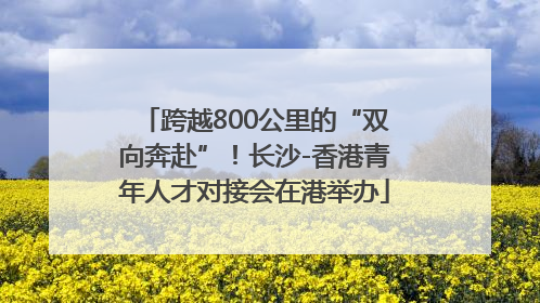 跨越800公里的“双向奔赴”！长沙-香港青年人才对接会在港举办