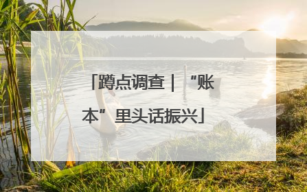 蹲点调查｜“账本”里头话振兴
