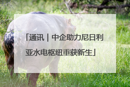 通讯｜中企助力尼日利亚水电枢纽重获新生