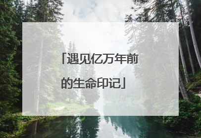 遇见亿万年前的生命印记