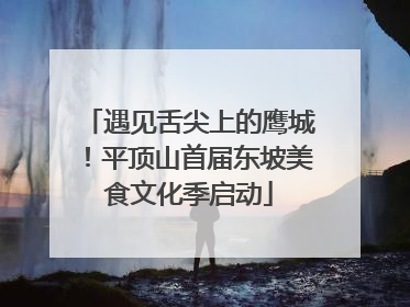遇见舌尖上的鹰城！平顶山首届东坡美食文化季启动