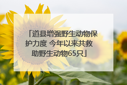 道县增强野生动物保护力度 今年以来共救助野生动物65只